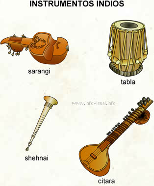 Instrumentos indios